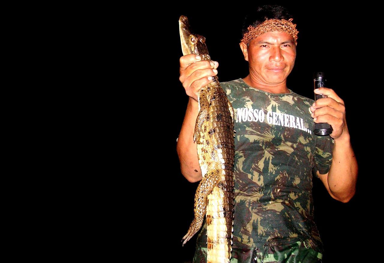 Anaconda Manaos
