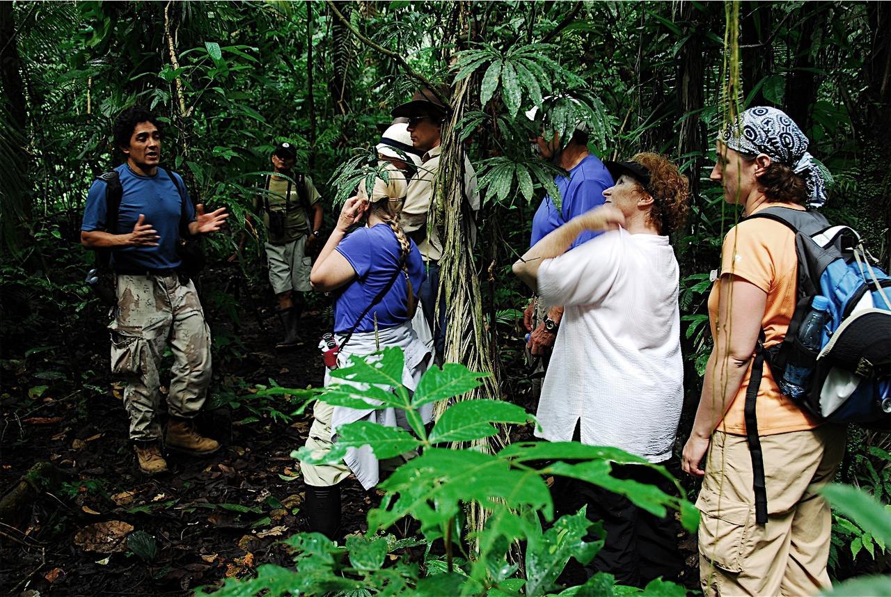 Anaconda Manaos