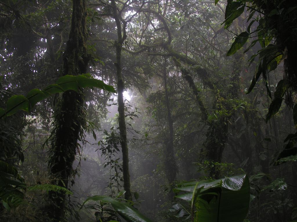 Anaconda Lodge