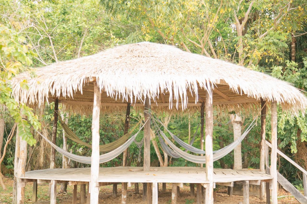 Anaconda Manaos